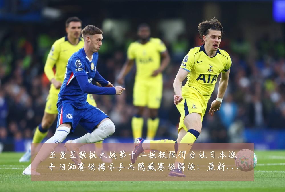 王曼昱数板大战第十二板极限得分让日本选手泪洒赛场揭示乒乓隐藏赛场解读:最新赛事动态与深度分析